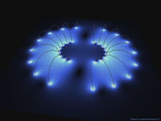 Tore coupe.jpg (376106 octets)